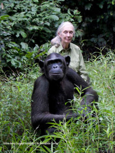 Únete contra el cambio climático | LOS40 | Jane Goodall y Rebeca | Foto The Jane Goodall Institute by Fernando Turmo